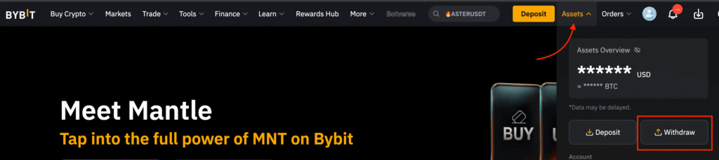 Bybit assets dashboard withdraw option